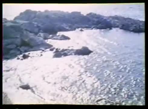 Retro porno -Gousgounis o idonovlepsias(1984)