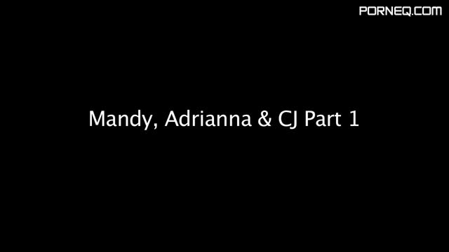 Transsexual Mandy Mitchell Adrianna and CJ Maxillion Transsexual Mandy Mitchell Adrianna and CJ Maxillion