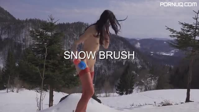 Snow Brush QS (17 03 2018 )