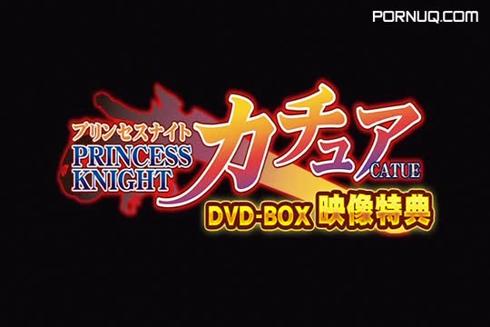 Princess Knight Catue Princess Knight Catue DVD BOX Special
