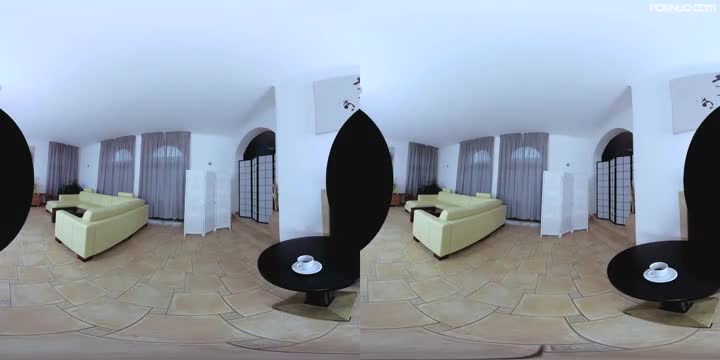 Czech VR 285 (OculusGo)