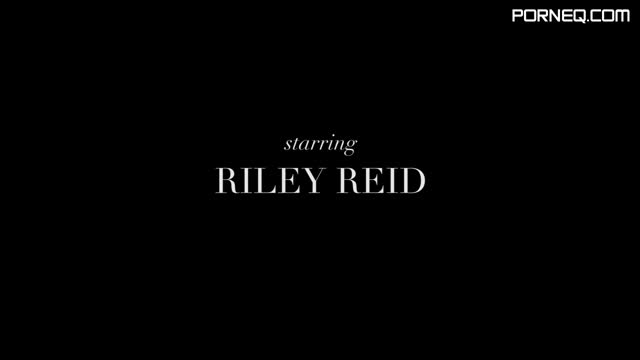 Riley Reid Gets Fucked In Her Tushy