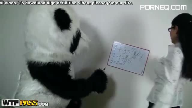 Free Porn Videos Sexy teacher for horny Panda bear