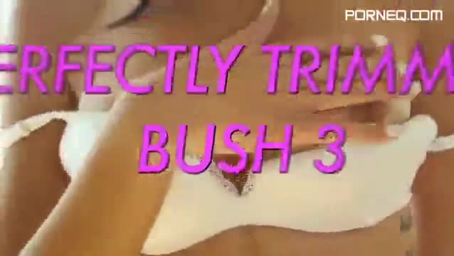 Perfectly Trimmed Bush 3 XXX DVDRip STARLETS Perfectly Trimmed Bush 3 XXX DVDRip STARLETS