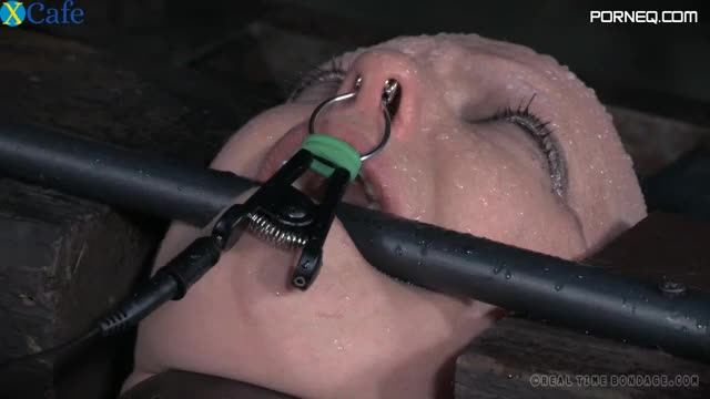 Bald white slut Abigail Dupree is a queen of hard BDSM sessions