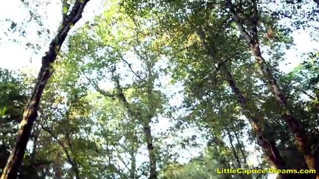 lcd 17 08 29 sapphira forest