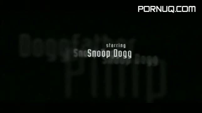 Snoop Doggs Hustlaz Diary of a Pimp DVDRip [ avi] Snoop Doggy Dogg Diary Of A Pimp