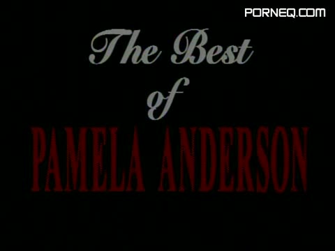 A Celebration Of Pamela Anderson
